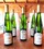 2019 Riesling Dry - View 1