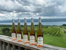 2020 Pinot Noir Rosé
