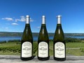 Unoaked Chardonnay 2021