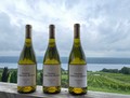 Chardonnay Reserve 2022