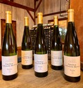 Riesling Dry 2022