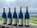 2017 Merlot